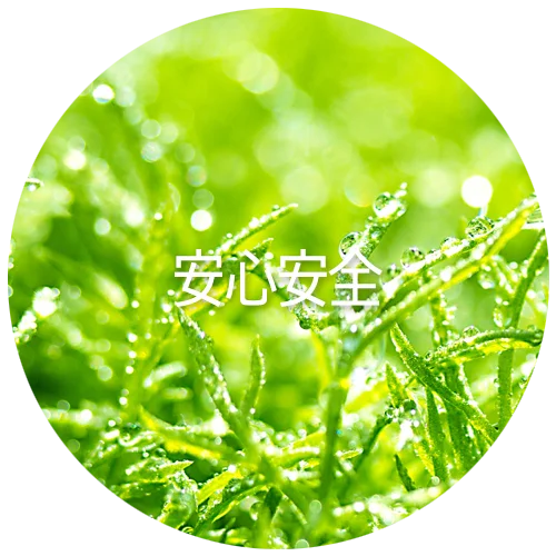 安心安全